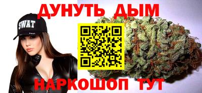спиды Новодвинск