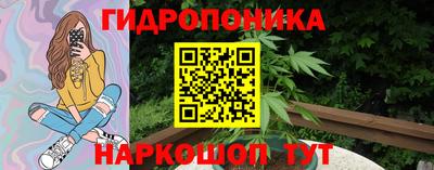 ПСИЛОЦИБИНОВЫЕ ГРИБЫ Новозыбков