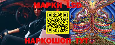 спиды Новодвинск