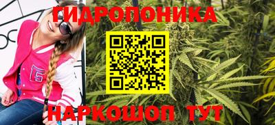ПСИЛОЦИБИНОВЫЕ ГРИБЫ Новозыбков
