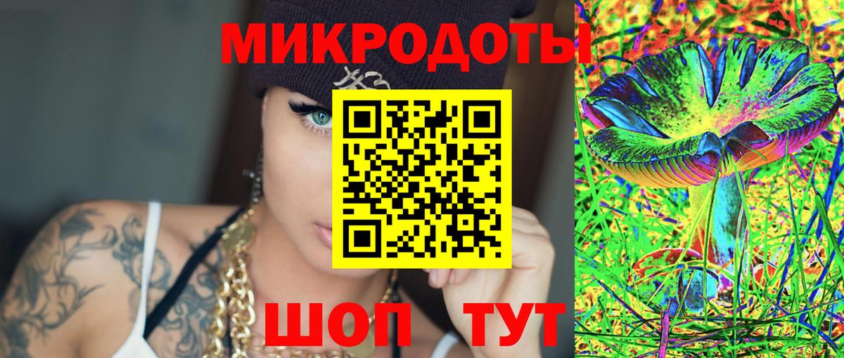 Псилоцибиновые грибы Psilocybe Тверь