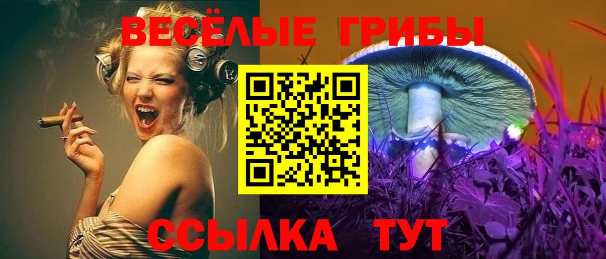 Тверь  Галлюциногенные грибы GOLDEN TEACHER  Псилоцибиновые грибы мицелий  Вход с VPN 