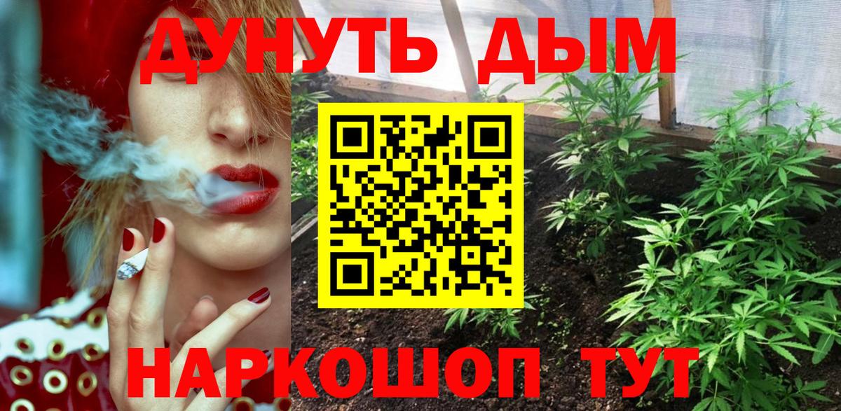 Канабис планчик Тверь
